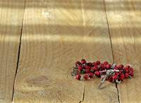 rosary-2187697 1280