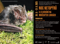 Plakat Noc netopyru