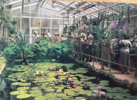 botanicka history-rotated