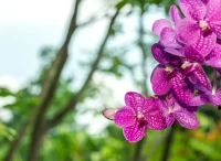 97220de6-ec72-421c-a94a-a811abcb8390