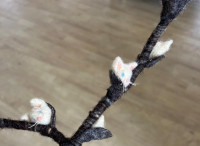 Workshop kocicky 19.2.2026