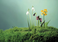 Velikonoce-26-1920x1080-clean