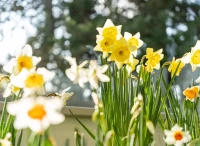 5717b425-9297-40fa-ad05-26dd2a17e76f