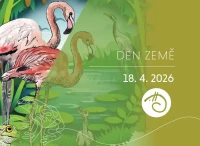 den zeme