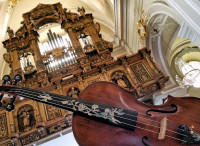 fabio ribaudo-violin-2885075