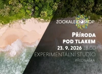 male akce zookaleidoskop zari