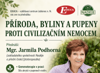Obrázek1