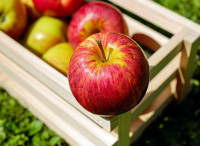 couleur-apple-1589869 1280