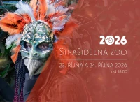 starsilka 2026-1